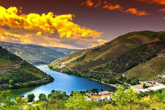 Shore excursions and activities on MS Douro Elegance